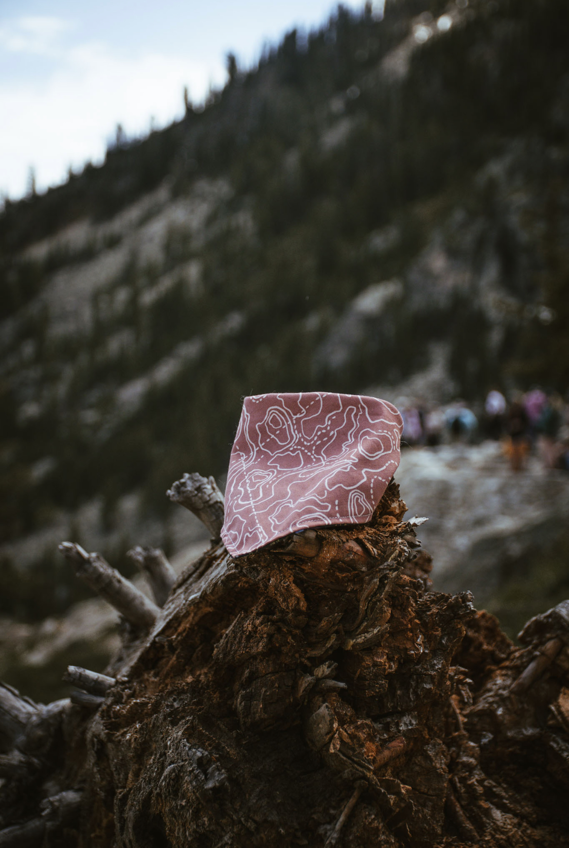 WWW Photo Contest thumbnail