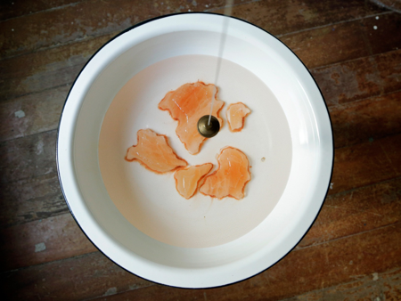 [CURSOS] Práticas experimentais  thumbnail