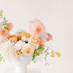 Saskatoon Shop thumbnail