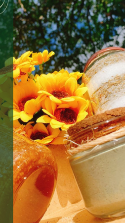 Ebook Nature Bela thumbnail