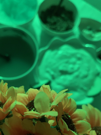 Banho de Lua Terapêutico  thumbnail