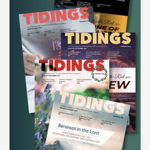 Our news articles 🗞️ thumbnail