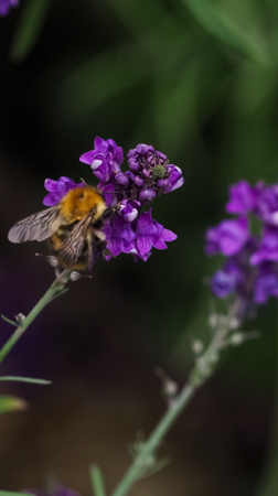 Reflect & Recharge: A Digital Marketing Workbook thumbnail