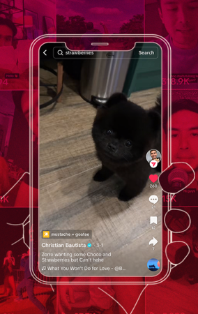 Zorro wants strawberries and chocolate but can't thumbnail