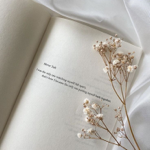 Google 好評 thumbnail