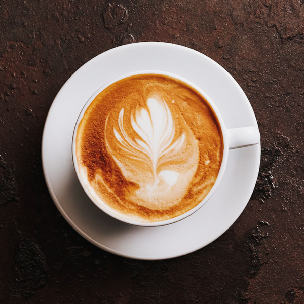 Pier 17 — Bio Site