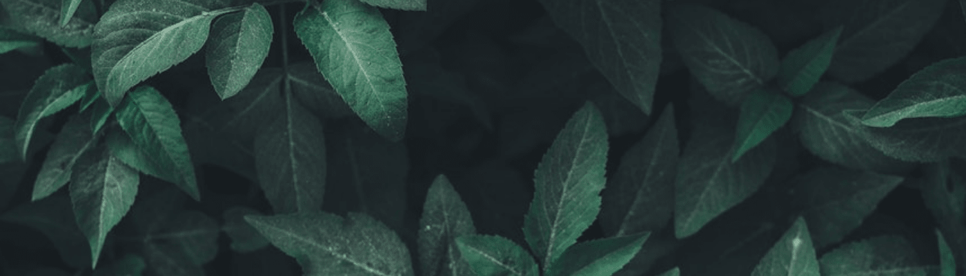 Vogelgesang | Spreadshop thumbnail