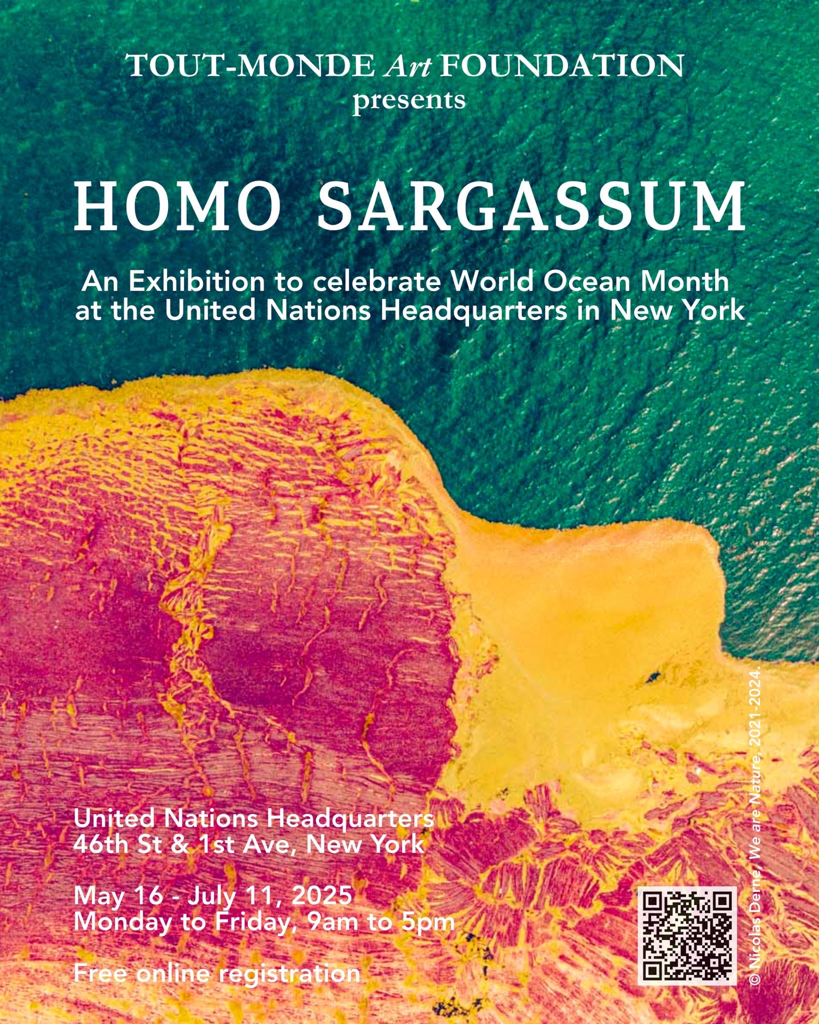 Homo Sargassum Exhibition at UN Headquarters  thumbnail