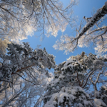 BELVEDERE CORTINA thumbnail