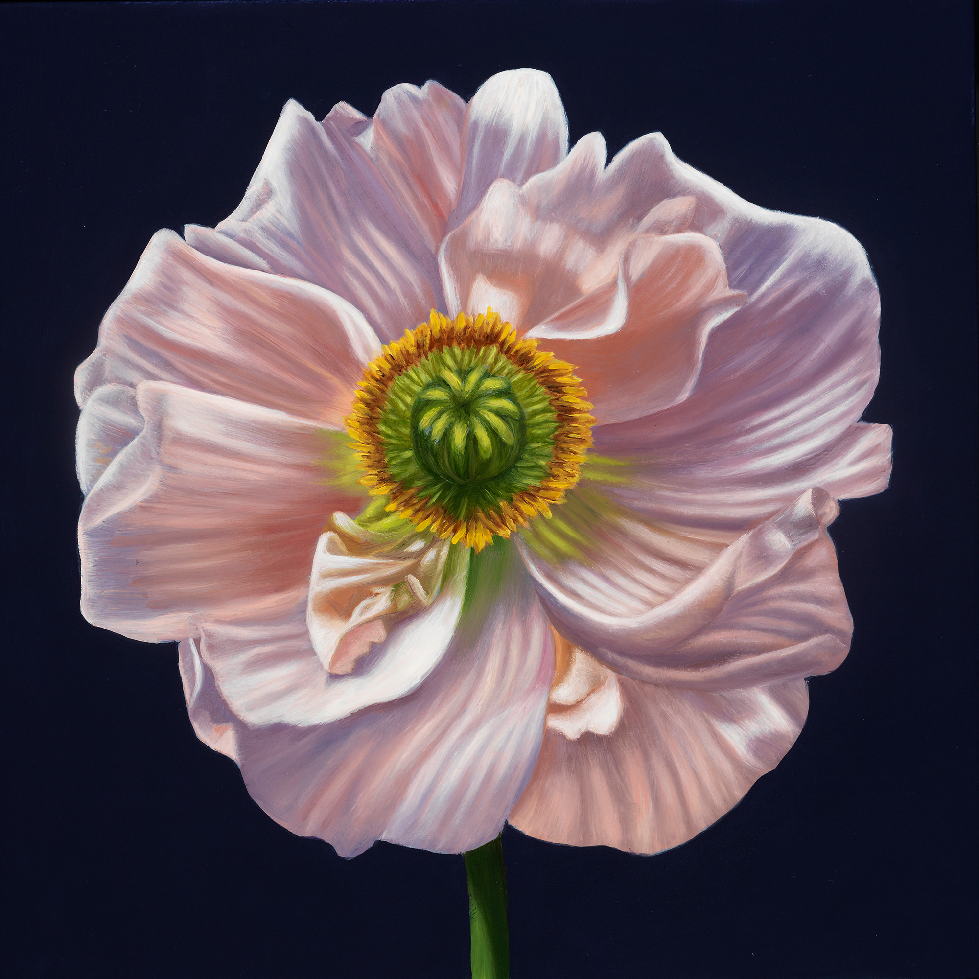 Read My Latest Studio Notes thumbnail