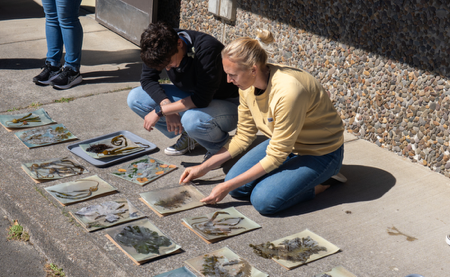 8/30 Workshop Tickets - Catalina Island thumbnail