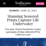 Smithsonian Mag Feature thumbnail