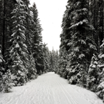 Canada  Itineraries 🇨🇦  thumbnail