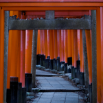 Japan Itineraries 🇯🇵  thumbnail