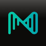 Discography on muso.ai thumbnail