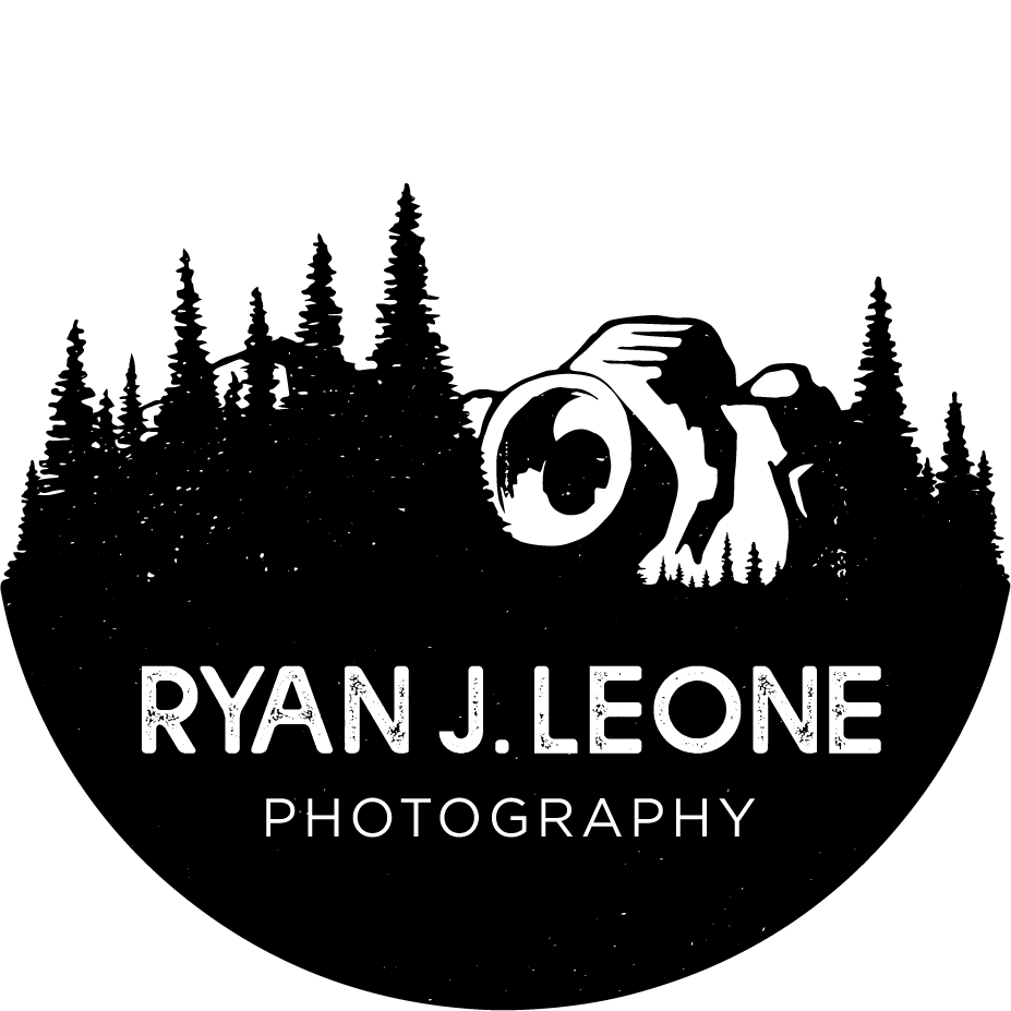 Book Me! — Ryan J Leone thumbnail