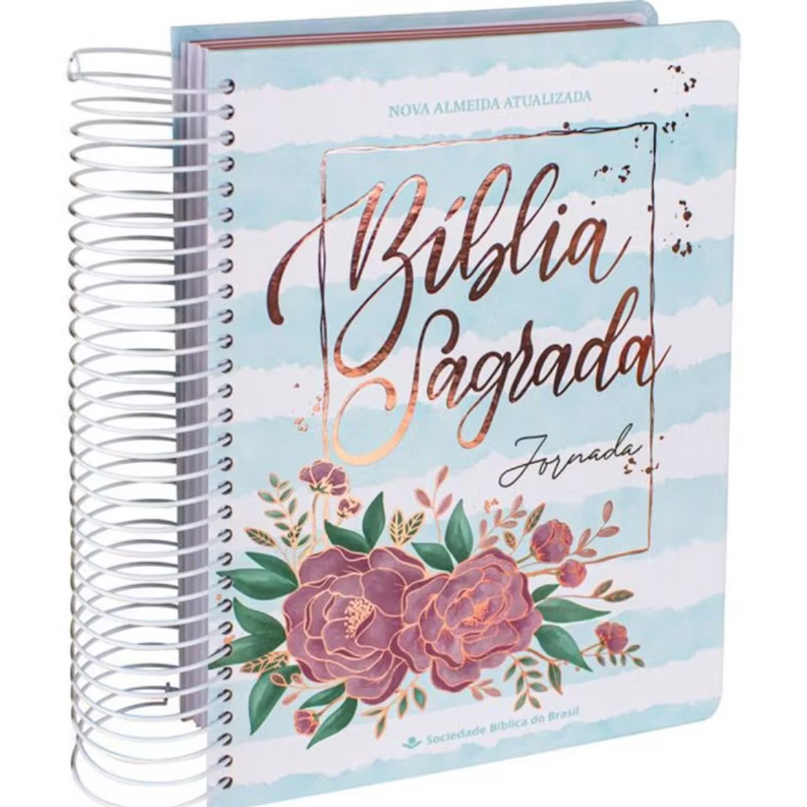 Bíblia Anotação thumbnail