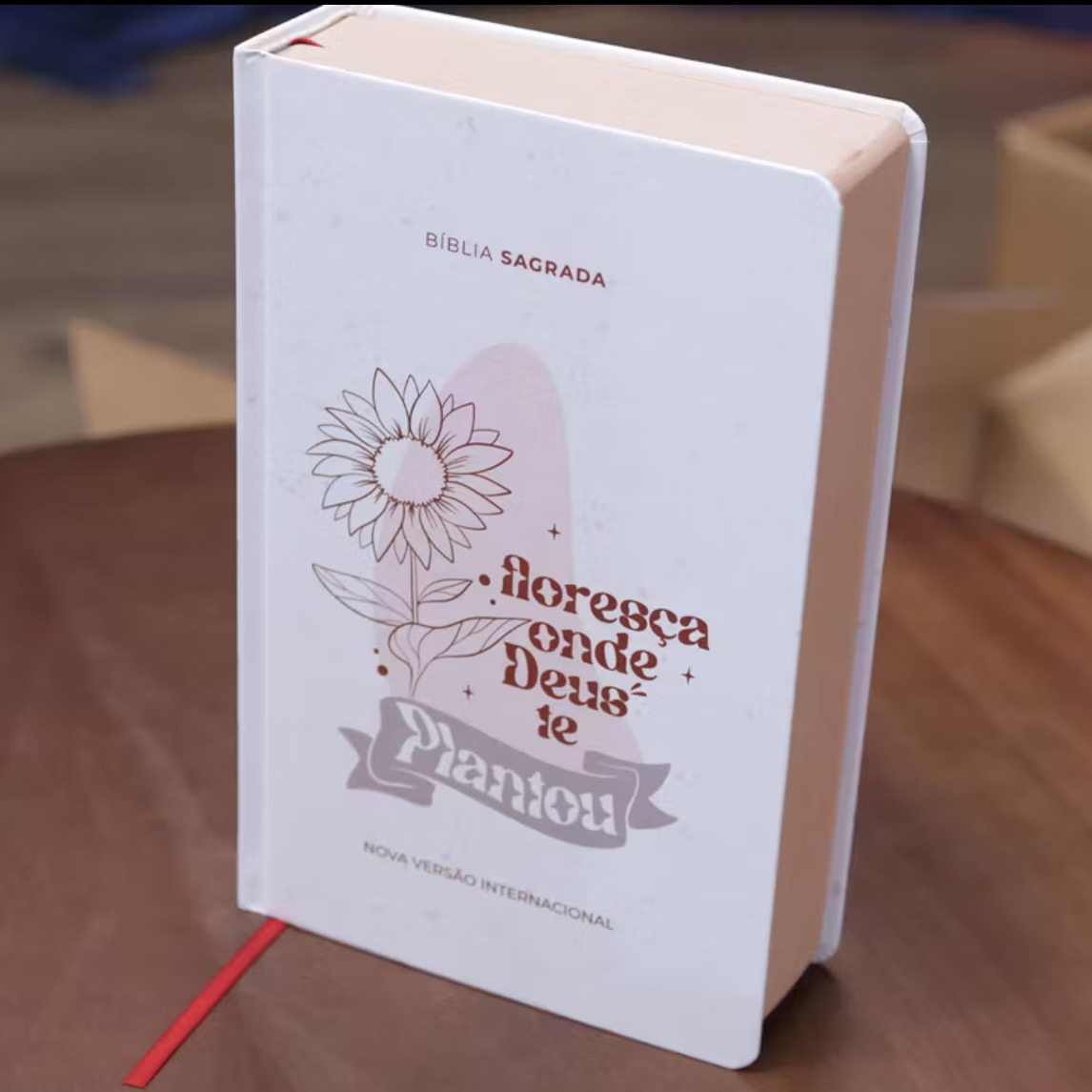 Bíblia Branca thumbnail