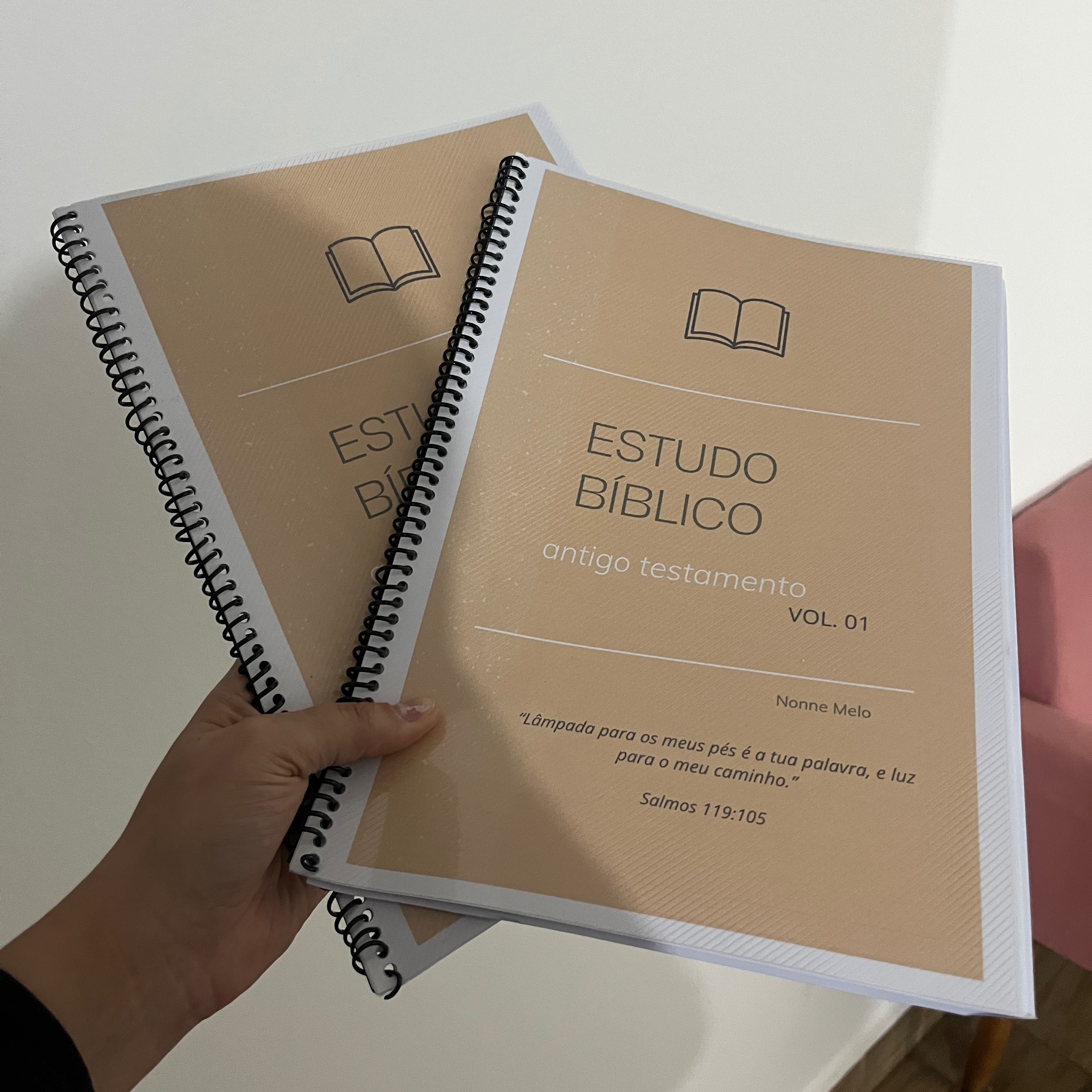 PDF - APOSTILA ESTUDO BÍBLICO VOL. 01 thumbnail