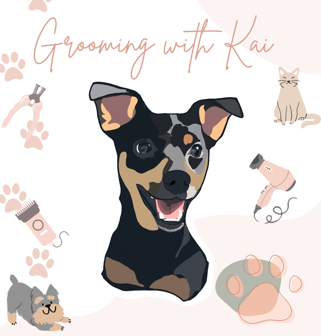 🐾Grooming with Kai 🛁 Pet Grooming Services thumbnail