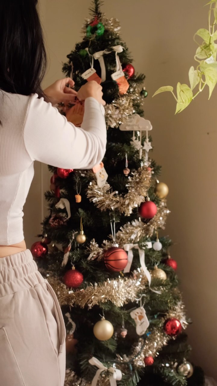 Easy, no baking needed, DIY Christmas tree ornaments🎄would you try it?

All you need is air dry clay, cookie cutters of 