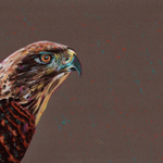 Facebook Page thumbnail