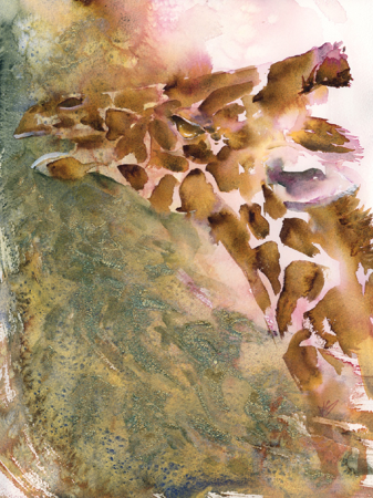 Fine Art America thumbnail