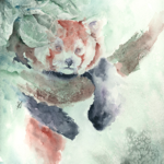 Website thumbnail