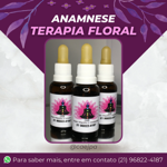 Terapia Floral thumbnail