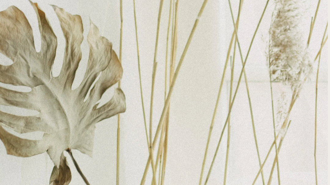 BioSite banner for @joyful