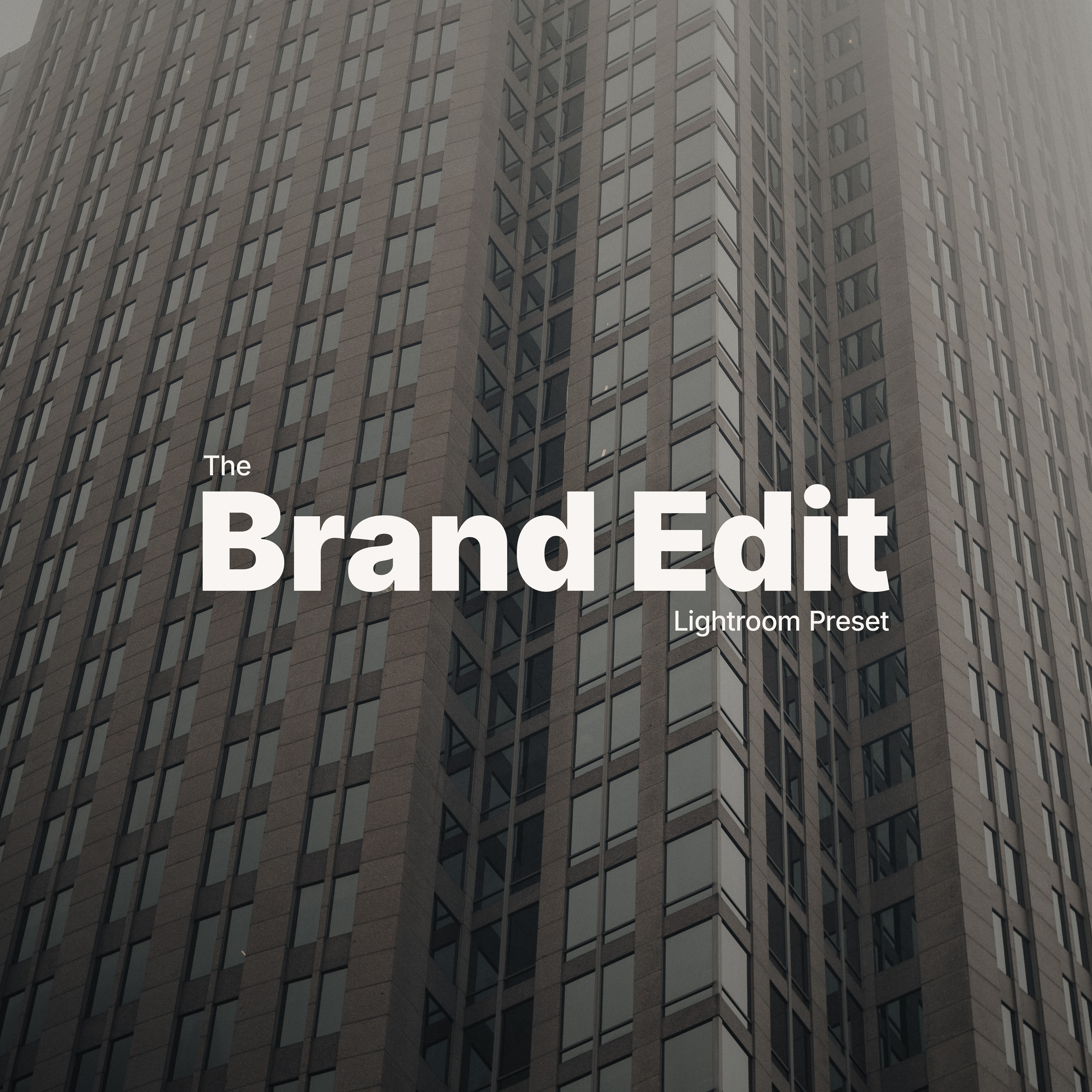 'The Brand Edit' Lightroom Preset thumbnail
