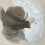 Shop for Art thumbnail