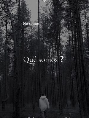 ¿Qué somos❔ #textosbonitos #palabras #reflexionesdevida #espiritualidad #ser #escritos #conciencia #emociones #amor #ref