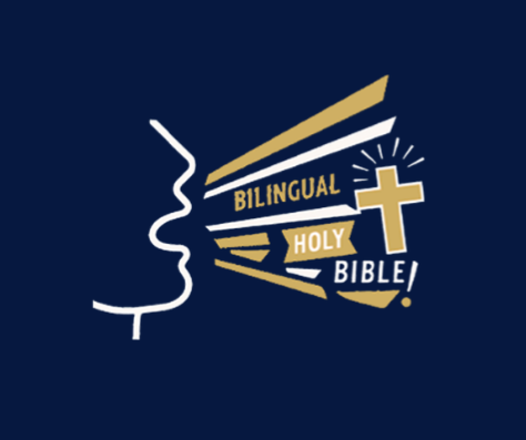 BioSite profile picture for @declare