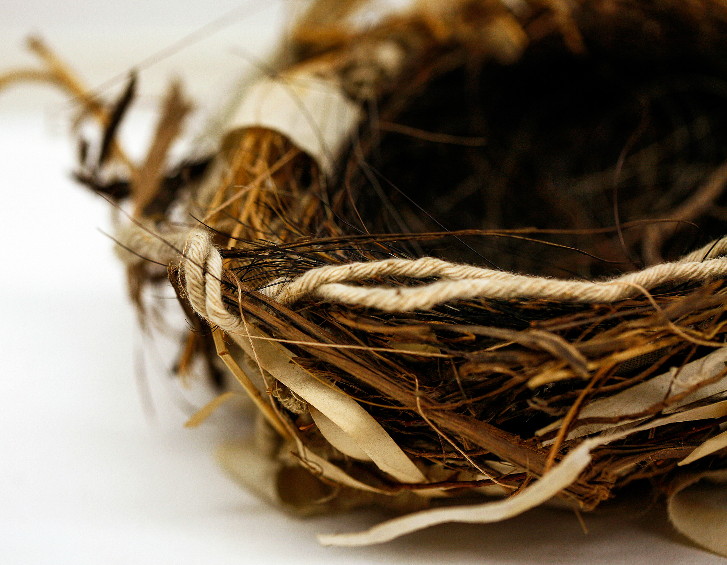 Newsletter  thumbnail