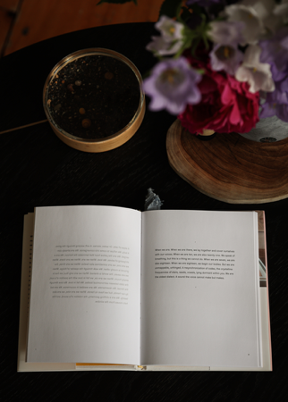 “like a bell, or tuning fork” Nasrin Himada in conversation with Danielle Vogel thumbnail