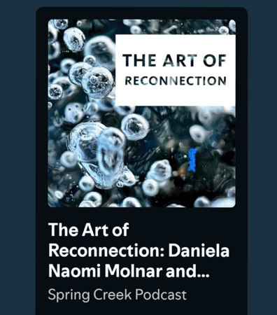 The Art of Reconnection Podcast: Daniela Molnar & Danielle Vogel thumbnail