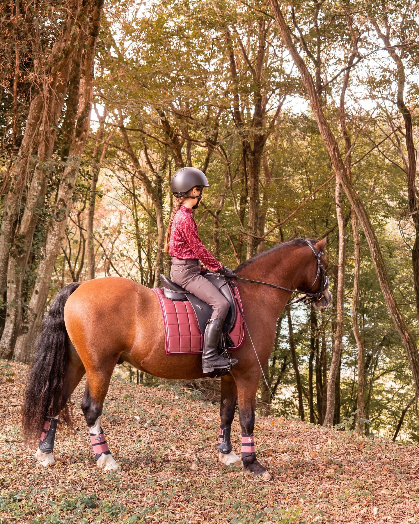 𝑴𝒆𝒓𝒄𝒓𝒆𝒅𝒊, 𝒂𝒖 𝒍𝒊𝒕 🍁

Quand tu as attendu ton mercredi après-midi impatiemment 🤗 Quand tu as fait tous tes devoirs en avan