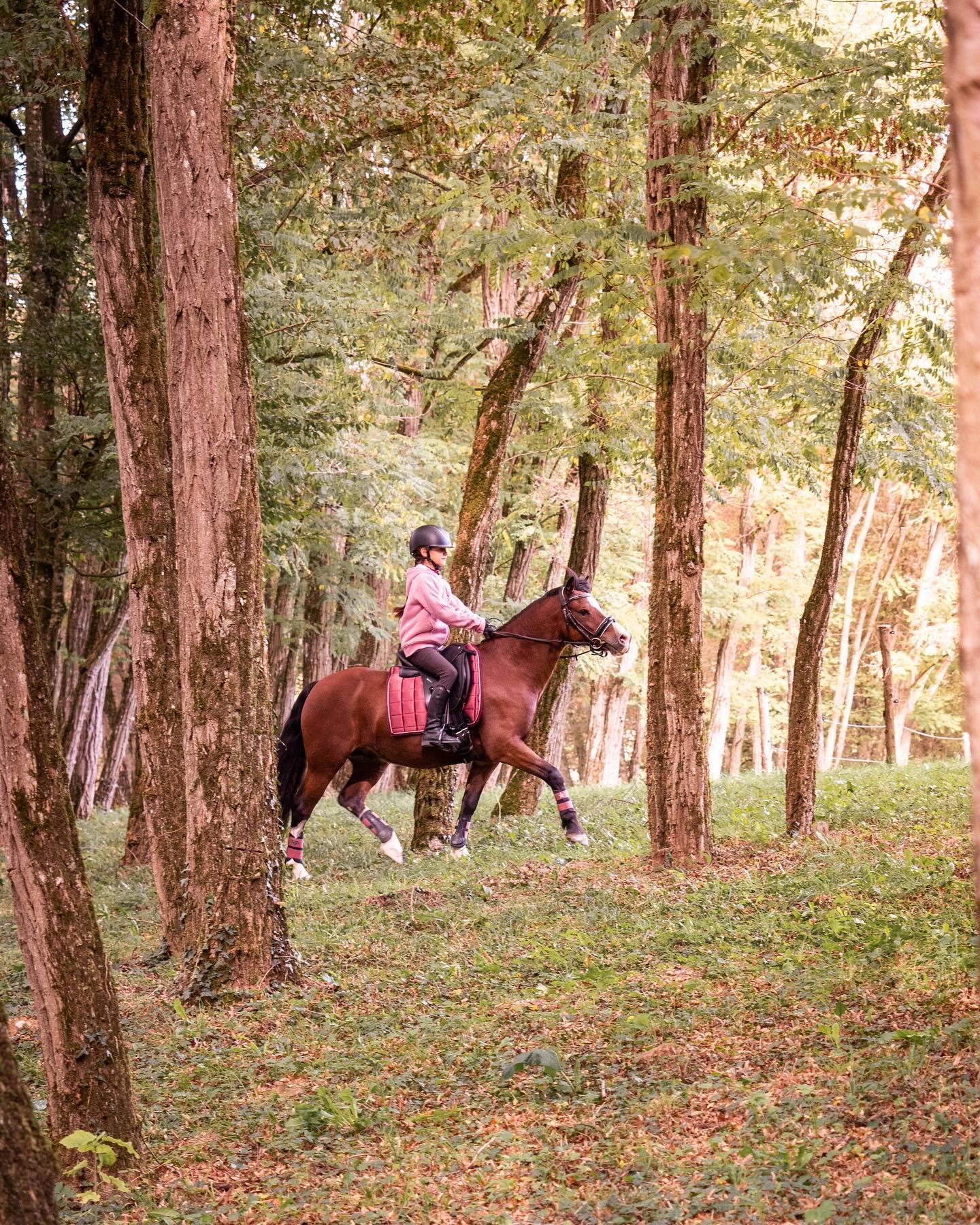 𝑩𝒐𝒏𝒏𝒆 𝒓𝒆𝒑𝒓𝒊𝒔𝒆 🍂

Bon courage à tous les petits et grands écoliers qui reprennent le chemin de l’école et des études ce m