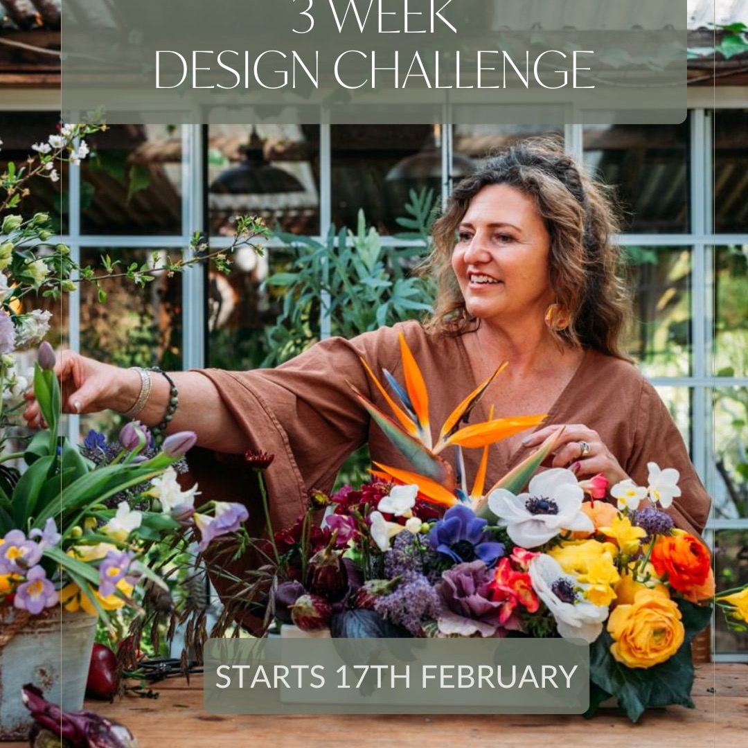 3 WEEK DESIGN CHALLENGE - 17th FEB  thumbnail