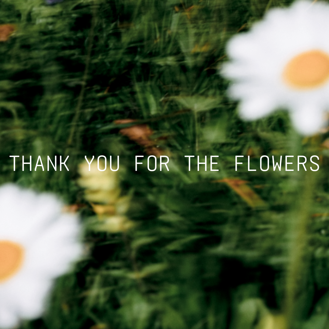 Thank You for the Flowers Exhibition Statement thumbnail