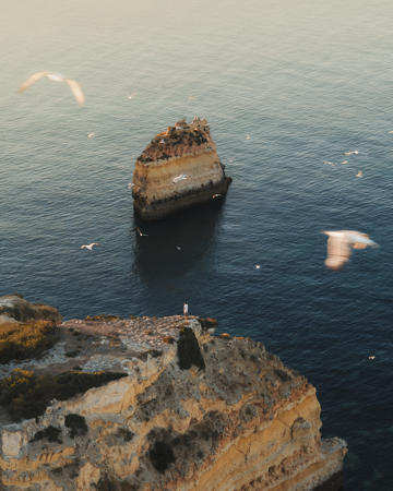 Let’s Work Together thumbnail