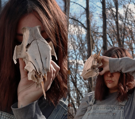 PHOTOGRAPHY PORTFOLIO thumbnail