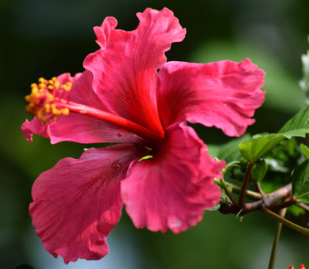 Teste seu nível de ansiedade e receba uma devolutiva personalizada e gratuita thumbnail