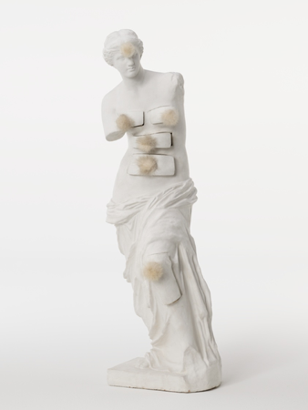 Self Portrait as Venus de Milo - Poem  thumbnail