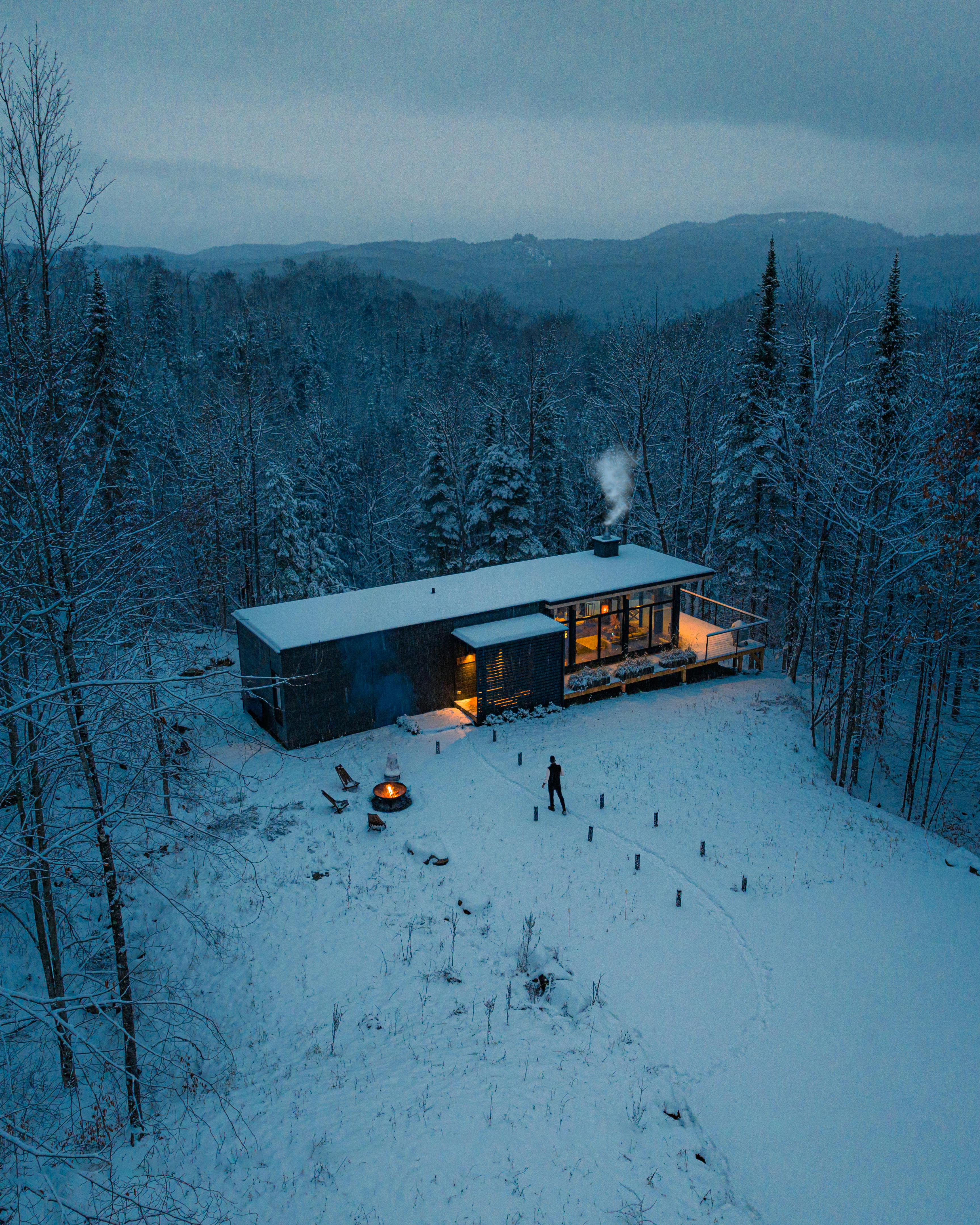 THE CABIN WHISPERER thumbnail