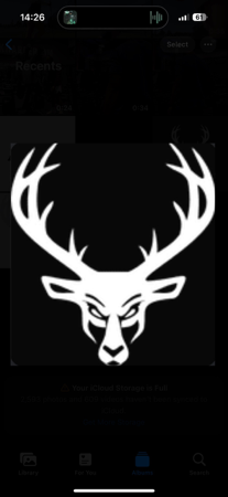 Bucked Up: Code ‘MIDNIGHT7’ thumbnail