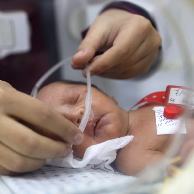  Two Gaza infants die under Israeli siege amid baby formula shortage thumbnail