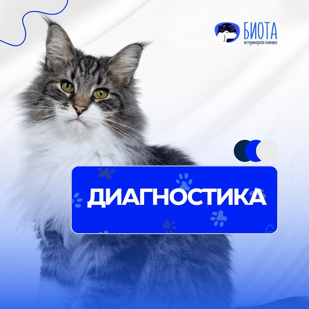 диагностика thumbnail