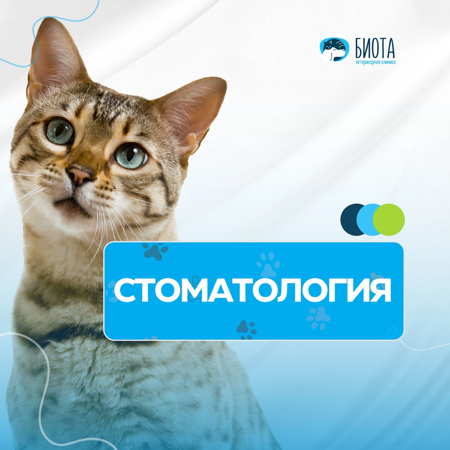 стоматология thumbnail